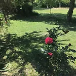 Le De Gascogne Semesterbostad Lectoure