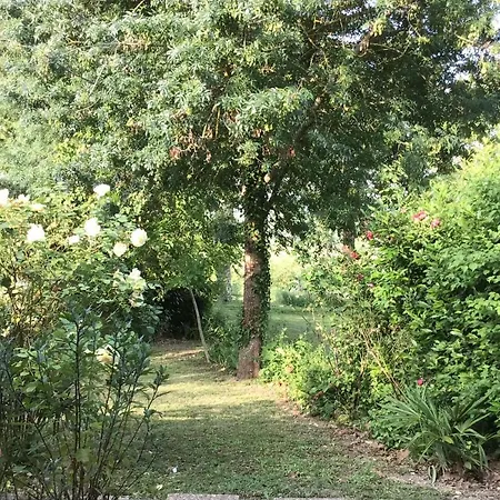 Le De Gascogne Nyaraló
