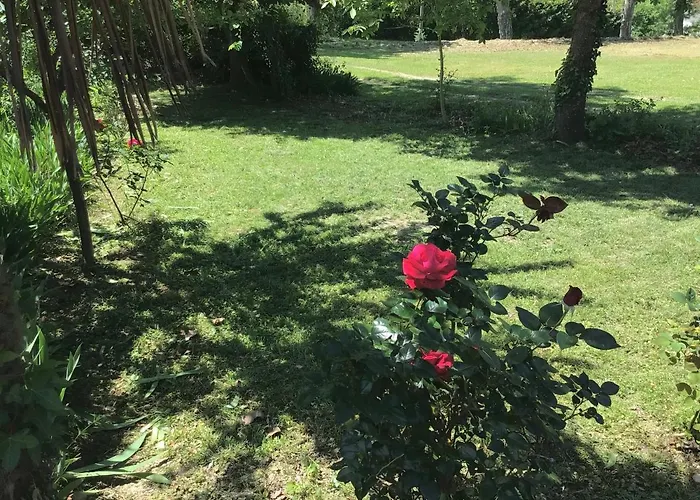 Le De Gascogne Σπίτι διακοπών Lectoure