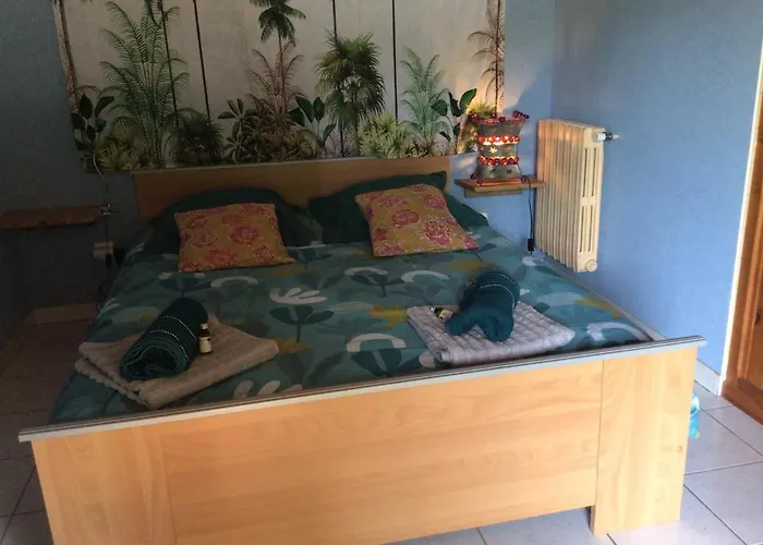 Le De Gascogne * Lectoure