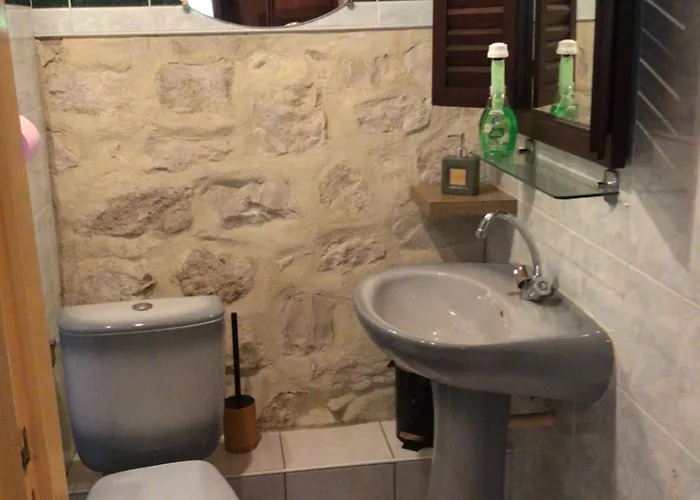 Le De Gascogne * Lectoure